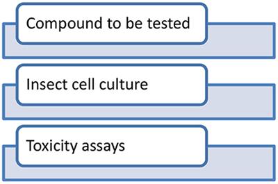 Insect in vitro System for Toxicology Studies — Current and Future Perspectives